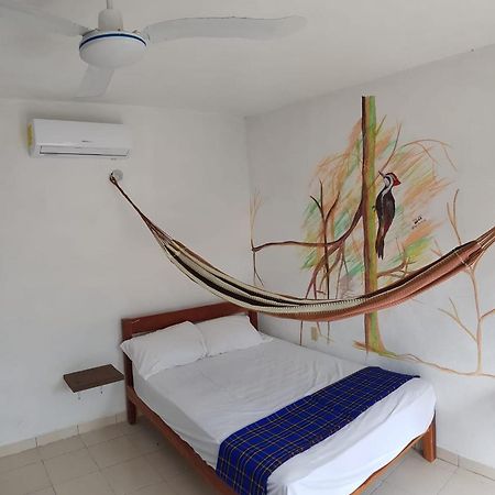 La Casa De Las Aves Bacalar Exteriér fotografie